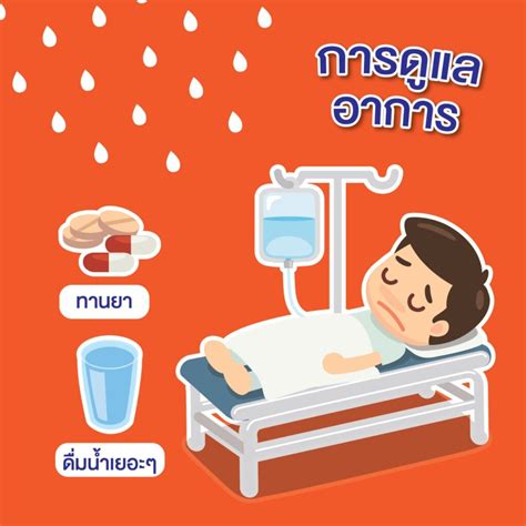 Dengue Hemorrhagic Fever and its Prevention - โรงพยาบาลแพทย์รังสิต