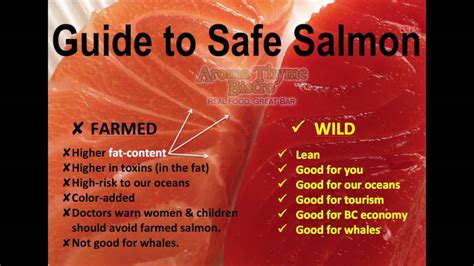 Farmed Salmon vs Wild Salmon - YouTube