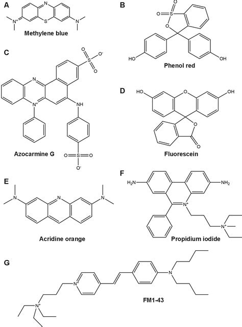 Performance of Fluorescent Cell-Labeling Dyes under Simulated Europa ...