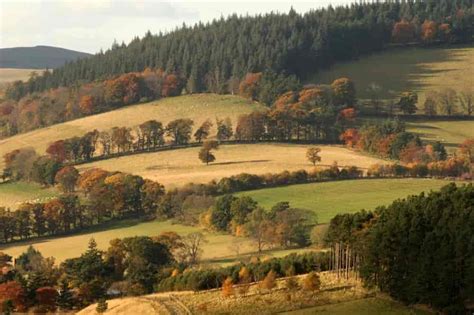 Autumn Colours in Scotland » GagDaily News