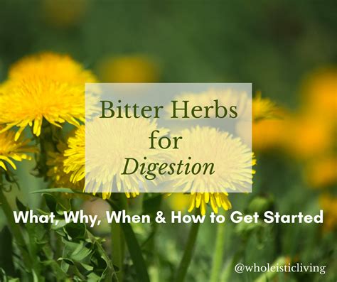 Bitter Herbs for Digestion: How to Get Started | Jenna Volpe, RDN, LD, CLT- Functional Dietitian ...