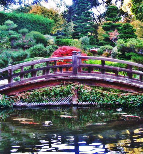 Hakone Gardens | Japan garden, Garden venue, Outdoor