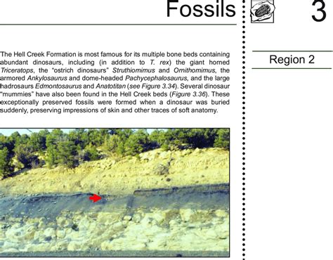 35: The Cretaceous-Paleogene (K-Pg) boundary (red arrow) along... | Download Scientific Diagram