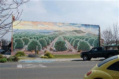 Orange Harvest - Exeter California - Murals on Waymarking.com