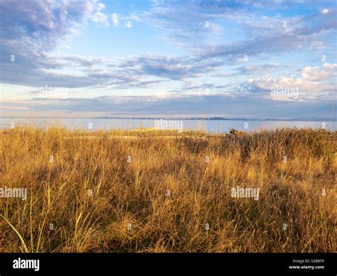 Golden Sunrise at The Beach Stock Photo - Alamy