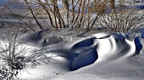 Is climate change affecting the polar vortex? » Yale Climate Connections