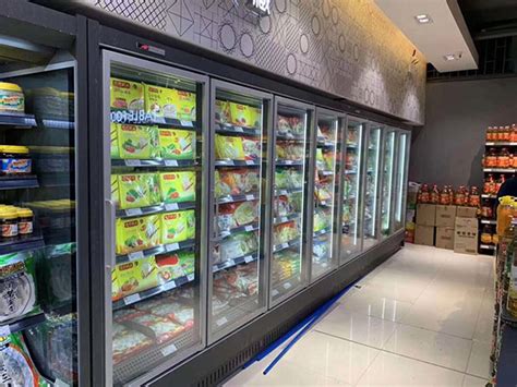 Grocery Store Freezer Showcase-Vertical Display Fridge Producer