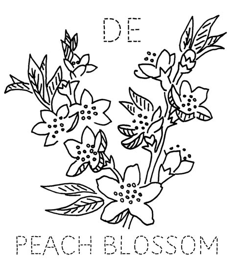 Peach Blossom Drawing at GetDrawings | Free download