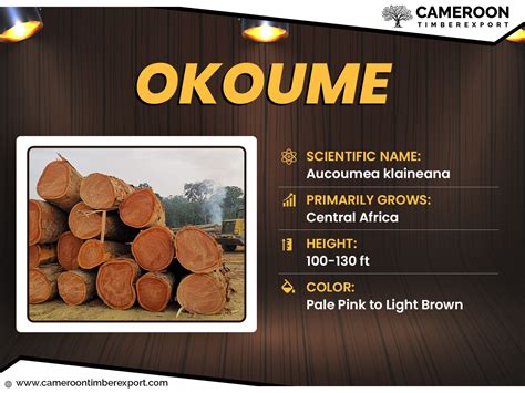 Best Quality African Okoume Wood Exporter, Wholesaler & Supplier