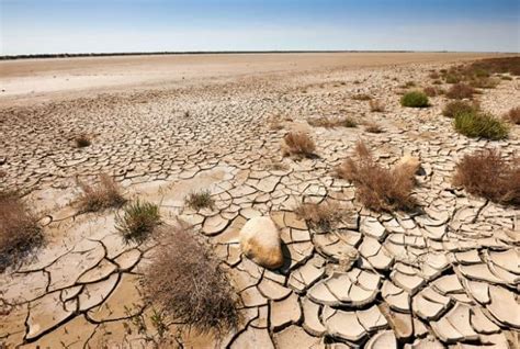 Causes, Effects and Solutions to Combat Desertification - Conserve ...