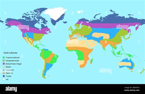 Grassland Biome Climate