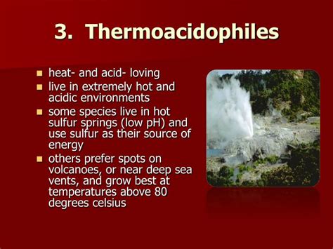 😎 Thermoacidophiles. Archaebacteria. 2019-03-03