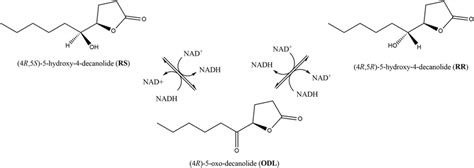 Putative epimerization mechanism of RS to RR via ODL by Nasonia SDRs.... | Download Scientific ...