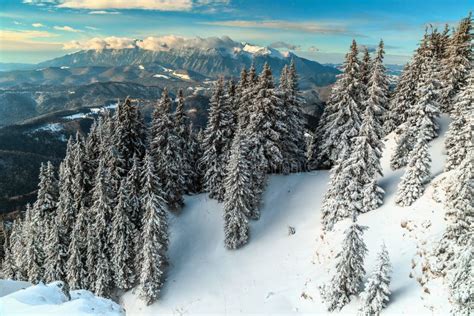 Spectacular Snowy Winter Landscape,Poiana Brasov,Carpathians,Transylvania,Romania,Europe Stock ...