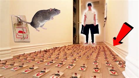 INSANE MOUSETRAP PRANK ON ROOMMATE | (revenge...) - YouTube | Pranks, Revenge, Sam golbach