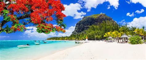 Top10 Islands in Mauritius: The Marvelous Wonders of Mauritius Calling