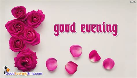 Good Evening Roses @ GoodEveningSMS.Com