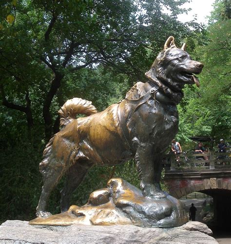 Balto Was A Real Dog And His Story Is Insane | by Hannah Poindexter | OMGFacts | Medium