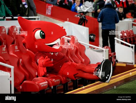 Liverpool mascot hi-res stock photography and images - Alamy