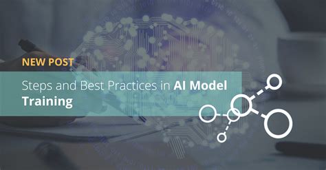 Steps and Best Practices in AI Model Training