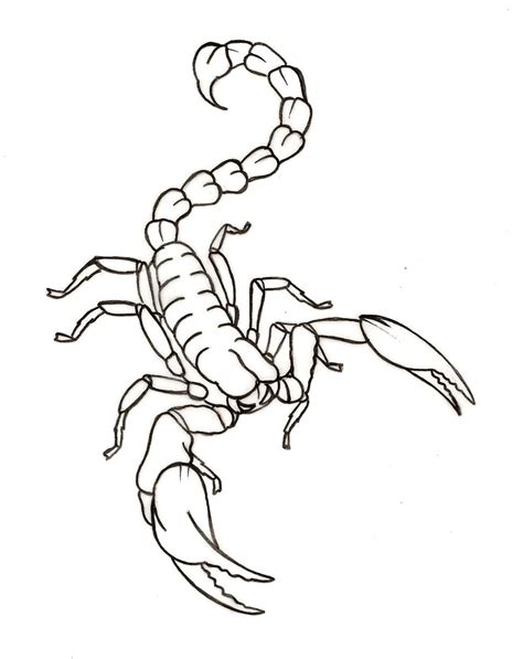 Scorpion Outline Drawing at GetDrawings | Free download