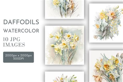 Daffodil Arrangements | Watercolour Clipart JPG