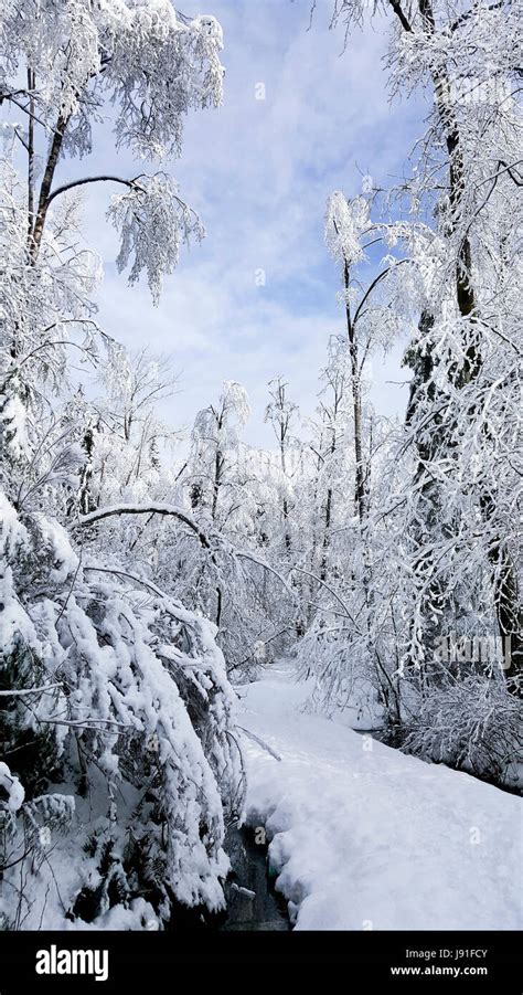 Snow in Vancouver Stock Photo - Alamy