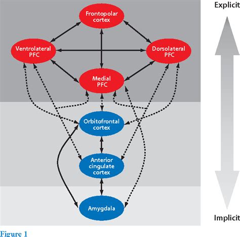 Figure 1 from The role of the human prefrontal cortex in social ...