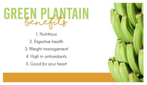 Green Plantain Benefits - Vega Produce: Eat Exotic, Be Healthy