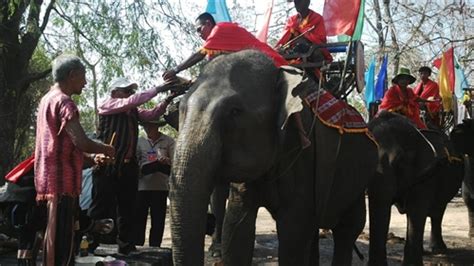 Elephant racing festival hosted