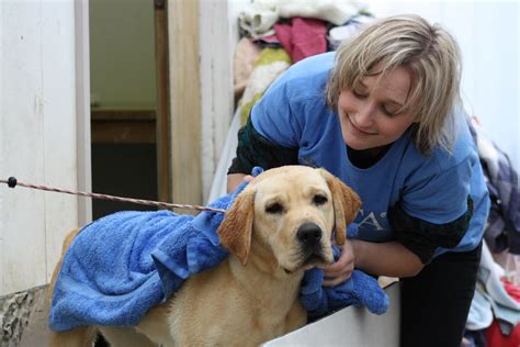 Volunteer Jobs SPCA - Over 200 roles in New Zealand