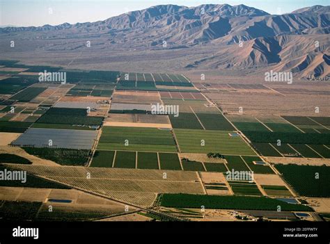 Desert agriculture, Imperial Valley, California Stock Photo - Alamy