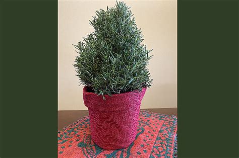 Add a Rosemary Topiary to This Year’s Holiday Season