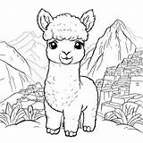 Download Alpaca Coloring Page For Kids With Mountains And Llamas  sketch template