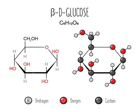 Premium Vector | Beta glucose representation Skeletal formula and 2d ...