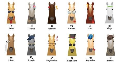 12 Horse Zodiac Signs: Does Your Horse's Sign Match Their Character?