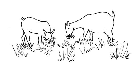 Line drawing of two grazing goats | Illustration used in an … | Flickr