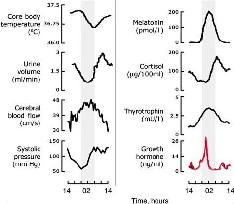 Circadian Rhythms for Health & Resilience : EQ Mindware