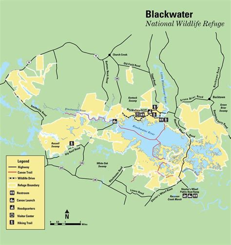 Blackwater National Refuge | National wildlife refuge, Blackwater ...