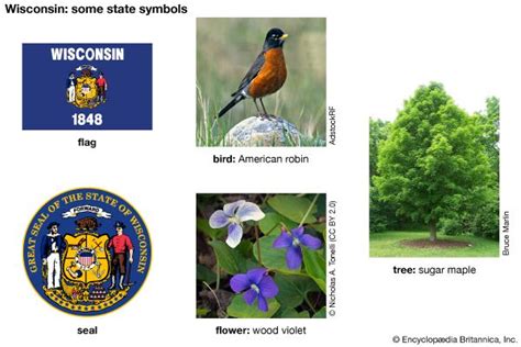 Wisconsin state symbols - Kids | Britannica Kids | Homework Help