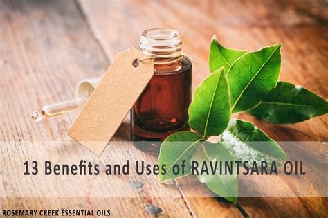 13 Benefits and Uses of Ravintsara Essential Oil – Rosemary Creek ...