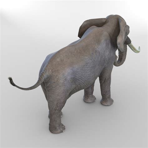 3d elephant rigged model