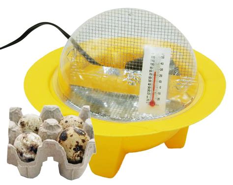 Mini Egg Incubator for Kids: Chick Bator Egg Incubator Kit with 4 Eggs