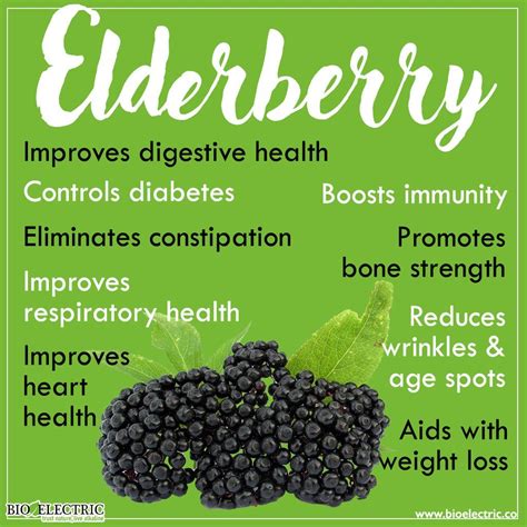 Where Can I Find Elderberry Juice - Property & Real Estate for Rent