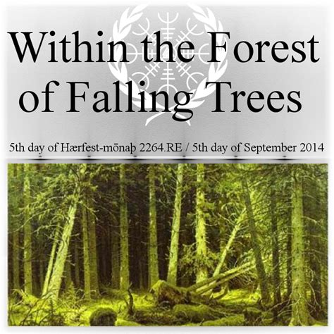 Within the Forest of Falling Trees Poetry with a deep meaning http://englishnews.org ...