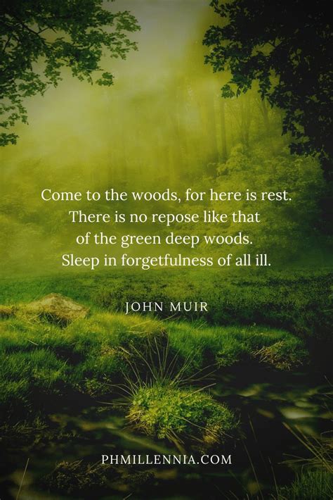 199 Wonderful and Inspiring Quotes on Woods and Forests | phmillennia ...