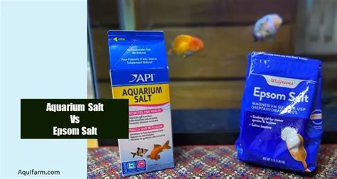 Aquarium Salt Vs Epsom Salt- Which One Is Better