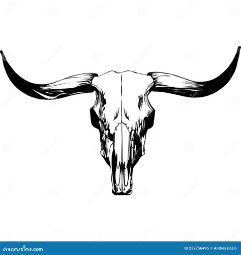 Bull Skull For Cowboy And Western Logos Stock Image | CartoonDealer.com ...