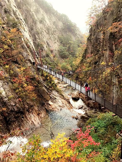 Korea Fall Foliage) Mt. Seoraksan – Autumn 1Day Tour – From Seoul (Oct ...