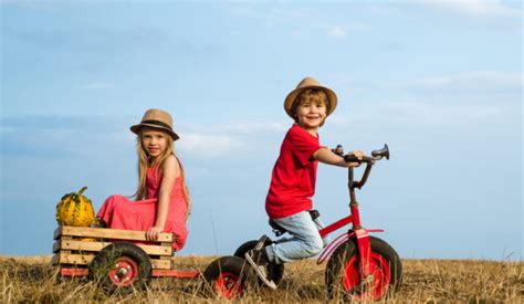 Family Friendly Farm Activities to do this Summer | AZADA